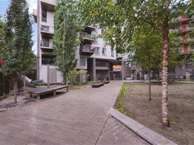Picture 9